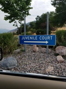 defense of juvenile criminal allegations